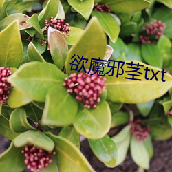 欲魔邪茎txt