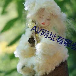 AV網址有哪些