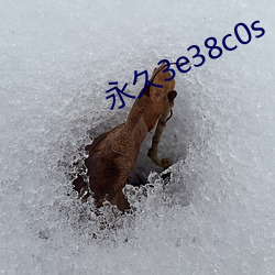 永(yǒng)久(jiǔ)3e38c0s