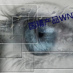 国精产品WNW2544