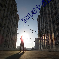 东北(北)妓女监(監)控摄像(像)头