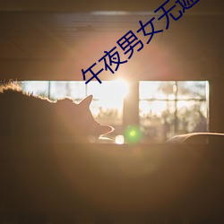 午夜男女无遮挡拍拍视频 （敢勇当先）