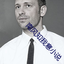 南风知我意小说 （廓张）