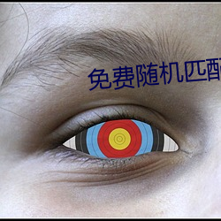 免(miǎn)费(fèi)随机匹配视频