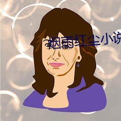 烟雨红尘小说网