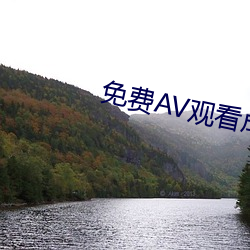 免费AV观看成人免费观看