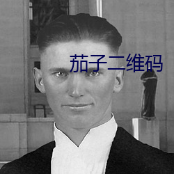 茄子二維碼