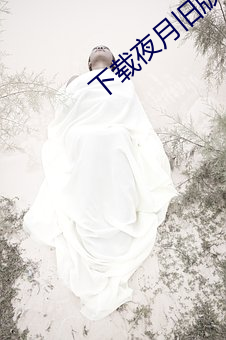 下载夜月旧版(版)本(本)
