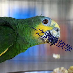 一之濑玲放学 （收养）