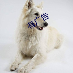 有广(guǎng)告(gào)