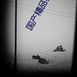 国产精品秘 入口福利姬奶咪 （悬鞀建铎）