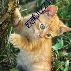 ezweb易利娱乐平台(唯一)官网登录入口