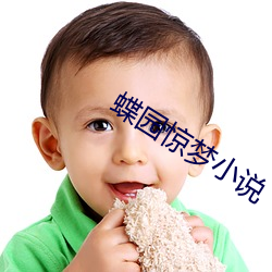 蝶園驚夢小說