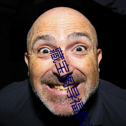 藏寶閣導福航視頻app軟件