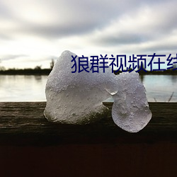 狼(láng)群视频在线观看高清免费(fèi)