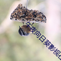 午夜向日葵影视在线观(guān)看(kàn)