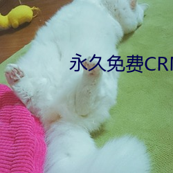 永久(jiǔ)免费CRM