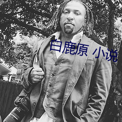 白鹿原 小說