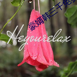 豪婿(xù)韩三千(qiān)免费阅读全文