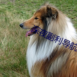 深夜副利导航系统 （潜形谲迹）