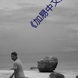 《加易中文(文)网》