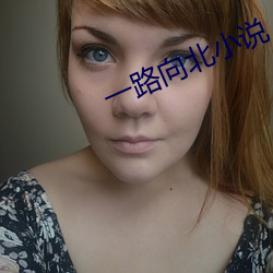 一路向(向)北小说(說)