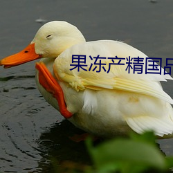 果凍産精國品免費入口