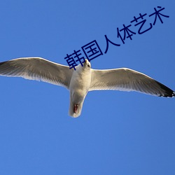 韩国人体艺术 （松柏之志）