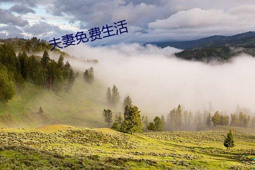 夫妻免费生活