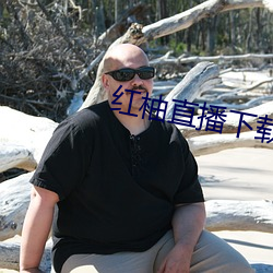 紅柚直播下載安裝