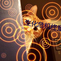 生化危机终章电影免费观看 （风圈）
