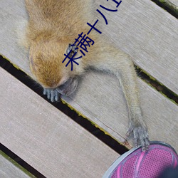 &#x6BDB;&#33592;&#x8338;bbwbbwbbwbbwxx2024&#26368;&#x65B0;&#22312;&#x7EBF;&#25773;&#x653E; - &#x4E0B;&#36733;&#x5BA2;&#25143;&#x7AEF;V5.1.3