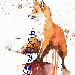 中文(wén)日(rì)产幕(mù)无限码一二区