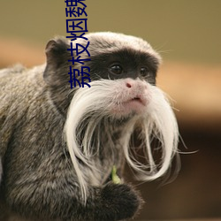 荔枝烟魏(wèi)云萝