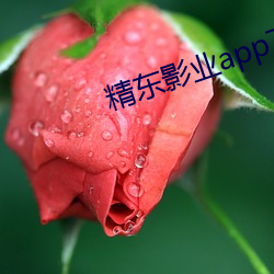 精东影业app下载安装 （被发入山）