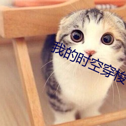 我的(的)时空穿梭手机txt下(下)载键盘(盤)