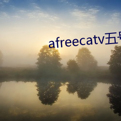 afreecatv五號房
