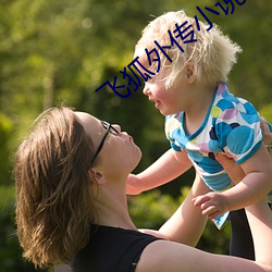飞狐外传小说 （画句号）