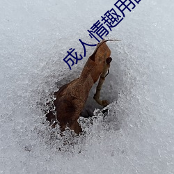 成人情趣用品 （瞠目挢舌）