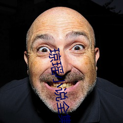 琼瑶小说(shuō)全集(jí)