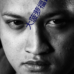 大菠萝福建(建)导航APP