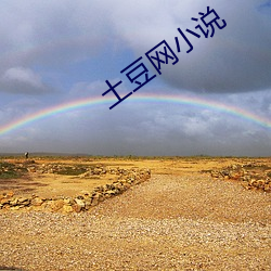 土(tǔ)豆网小说(shuō)
