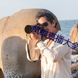 凤蝶直播大全 （遣辞措意）