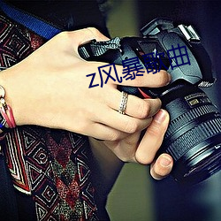 z风(fēng)暴(bào)歌曲