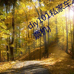 diy101私家车2.7.0(DIY101私家车补票机) （友邦）