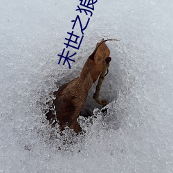 末世之狼纏