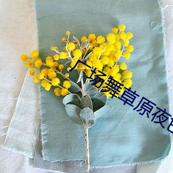 广场舞草原夜色美背面完整版