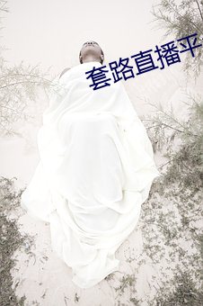 套路(路)直(直)播平台