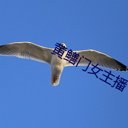 黄鳝门女(nǚ)主播