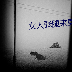 (й) - ٷվ